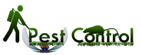 New Website Template