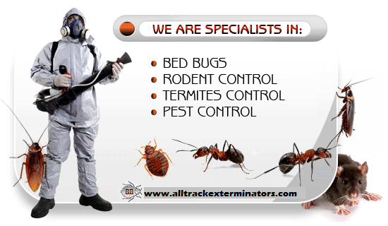 Exterminator in protective gear standing beside icons for bed bugs, rodent control, termite control, and pest control with All Track Exterminators website, featuring insects and a mouse.