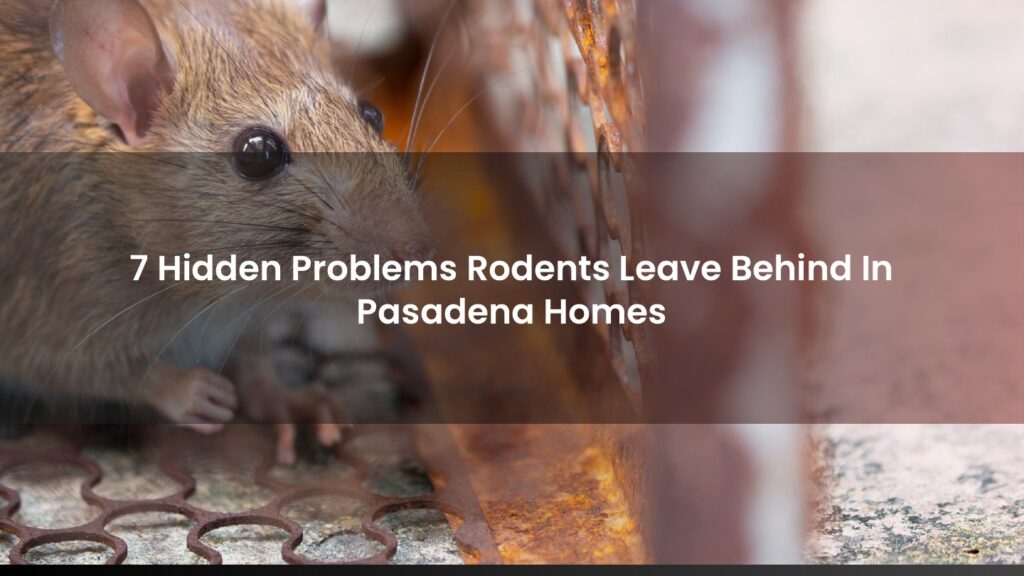 Hidden property factors and rodent contamination concerns in Pasadena and San Gabriel Valley homes.