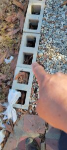 Open Cinder Block Wall Creating Hidden Ant Harborage